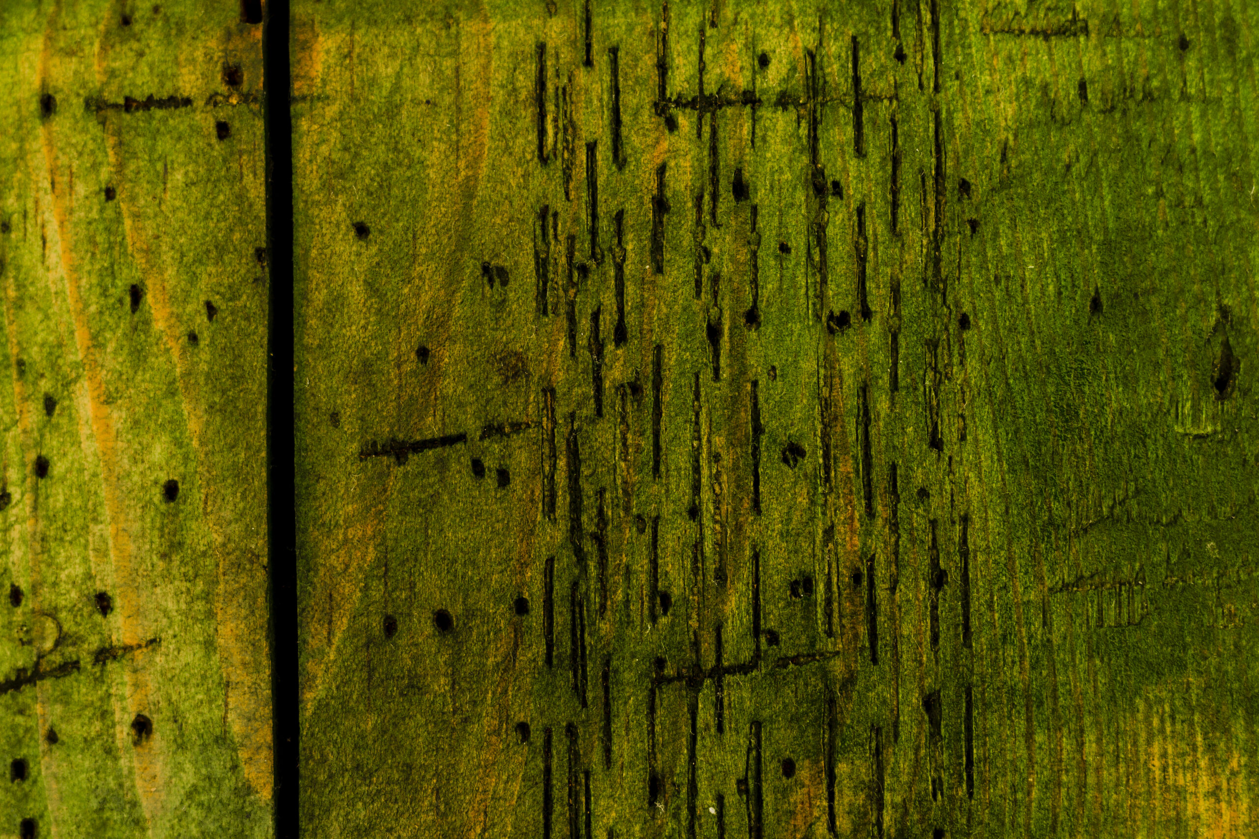 Safeguarding Wooden Structures from Shashel.en Infestations